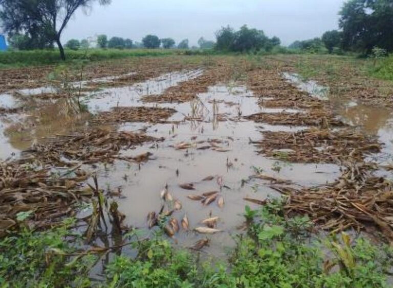 Screenshot_20250923_174638