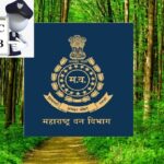 GridArt_20260114_141038994