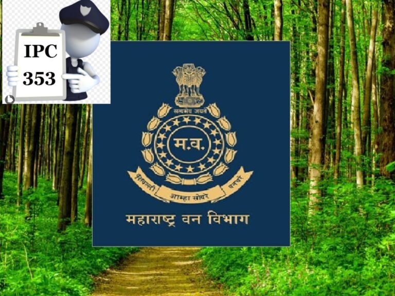 GridArt_20260114_141038994