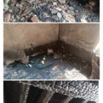 GridArt_20260424_163105567