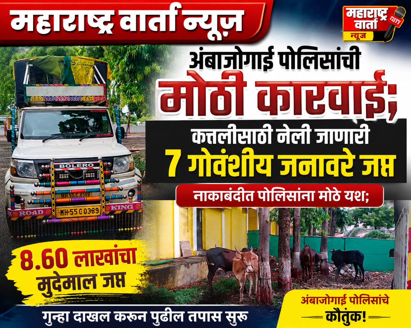 अंबाजोगाई पोलिसांची मोठी कारवाई; कत्तलीसाठी नेली जाणारी ७ गोवंशीय जनावरे जप्त दोघांविरुद्ध गुन्हा दाखल