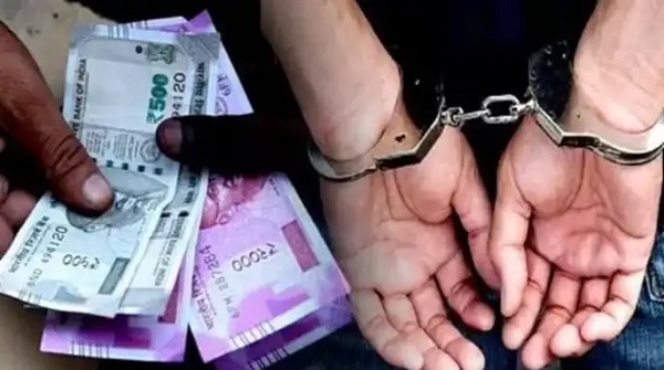 घरकुल मंजुरीसाठी लाच घेताना ग्रामरोजगार सेवक एसीबीच्या जाळ्यात